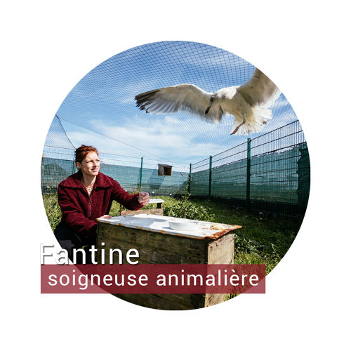 Fantine, soigneuse animalière